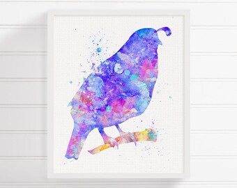 Quail Art, Quail Print, Watercolor Quail, Quail Poster, Quail Illustration, Quail Painting, Bird Art, Watercolor Bird, Bird Print, Kids Room