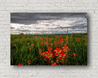 Indian Paintbrush Art, Wildflower Canvas, Wall Art Wildflowers, Canvas Indian Paintbrush, Nature Decorations, Floral Canvas, Flower Canvas