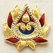 2 Hand-Embroidered Appliques. Burgundy, Deep Blue, Gold. With Beads