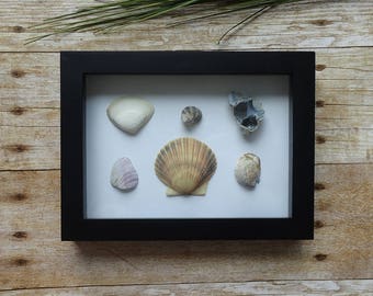 Seashell art / Sea shells / Sea glass art / Sea shells home decor / Art frame with seashells / Beach home decor / Beach lover gift idea
