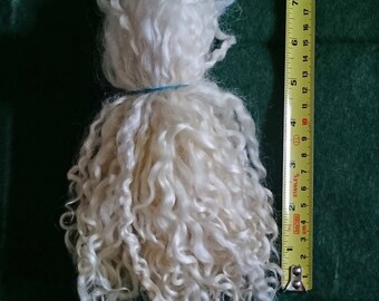 Teeswater Locks Undyed 8 - 10 inch, washed in natural springwater & separated - 20g (0.7oz)