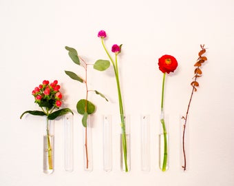 Office Decor Bud Vase Room Decor Wall Decor