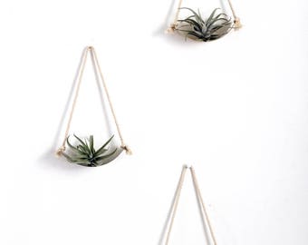 Air Plant Wall Holder Curved Shelf | Air Plant Holder | Air Plant Hanger | Air Plant Planter | Airplant Holder | Airplant Hanger | Display