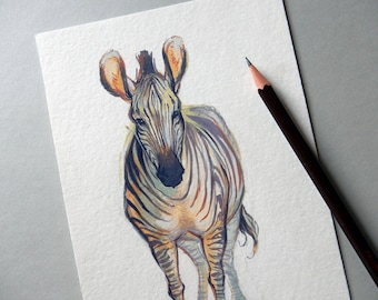 ORIGINAL Gouache Painting - Grevy's Zebra