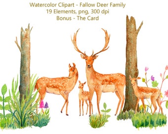 Deer Clip art, watercolour fallow deer family and woodland elements, watercolor deer, deer clipart, instant download