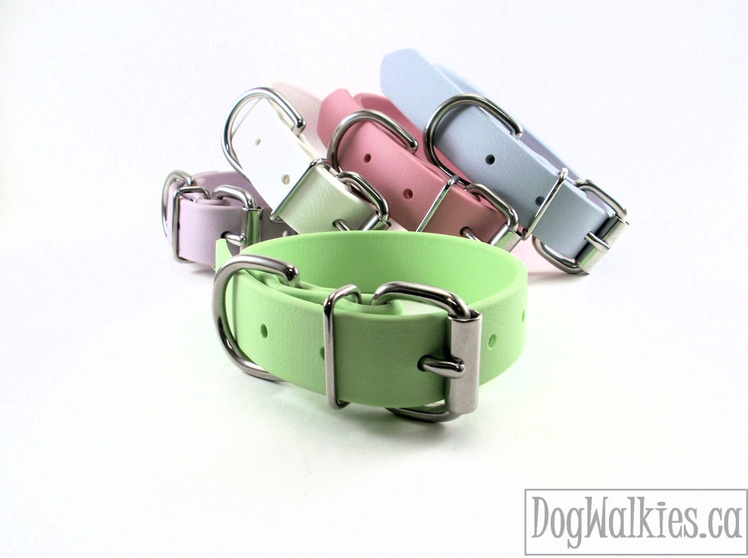 Biothane Dog Collar / Mint Pastel Green 1 Wide / Leather