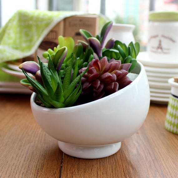 Small White Ceramic Flower Pot Indoor Succulent Planter Vase