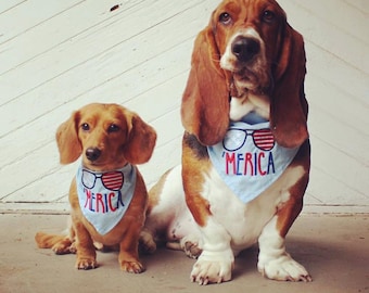 Merica Embroidered Dog Bandana Perfect for Fourth of July