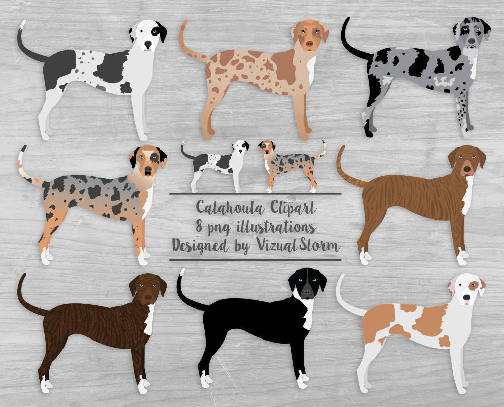 Catahoula Dog Clipart Louisiana Catahoula Leopard Dogs Illustrations