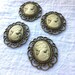Resin Cameo blank preset into vintage Antiqued brass gold frame jewelry supply beading supply 1pc