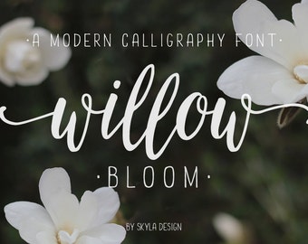 Modern calligraphy font / calligraphy typeface / wedding font download Willow Bloom / hand lettered fonts / calligraphy font watercolor