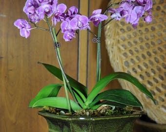 Handmade Ceramic Orchid Pot With Attached Saucer, Glazed Pottery, Glazed Pottery, Orchid Planter
