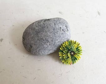 Obidome, Yellow green chrysanthemum Kimono obi accessory o002