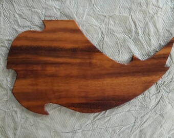 acoustic guitar and bass exotic wood pickguard