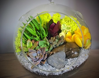 Succulent Terrarium, Round Glass Globe