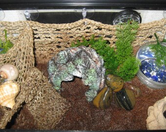 Hermit Crab Climbing Net