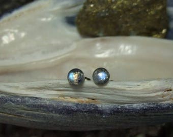 Longer Posts Rainbow Moonstone Blue Tint 4mm Stud Earrings Earings Titanium Post and Clutch Hypo Allergenic Newfoundland Icy Cool