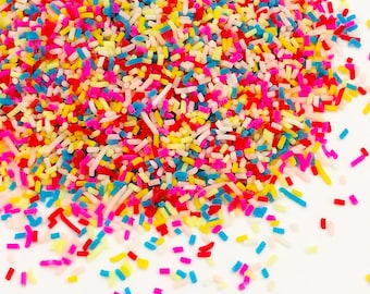 20g Chocolate Sprinkles - Rainbow Bright Kawaii Cute Fake Food Polymer Clay Slime Sprinkles