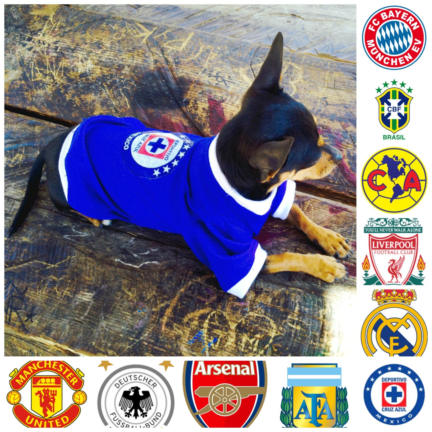 Football jersey Customized football jersey Dog jersey