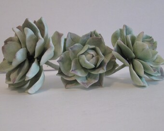 succulent cactus sugar gum paste edible cake topper