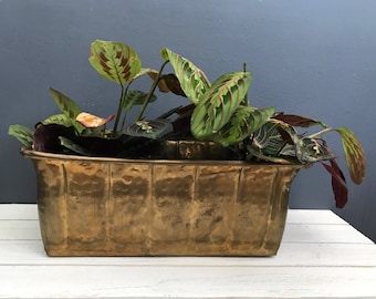 Brass planter box | Etsy Brass planter box | Etsy