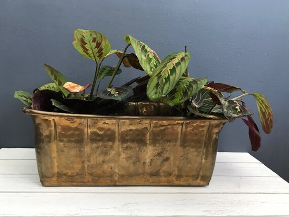 Brass box planter rectangular planter indoor planter brass Brass box planter rectangular planter indoor planter brass