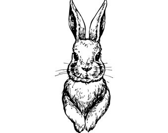 Download Rabbit SVG Clipart Rabbit Silhouettes Bunny Rabbit Hare