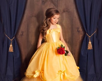 ON SALE Belle Dress- Princess Belle Tutu Dress- Belle Costume- Beauty and the Beast
