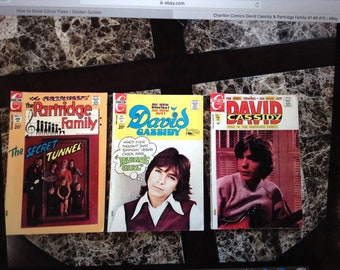 David Cassidy & Partridge Family Comics 1-6 and 15