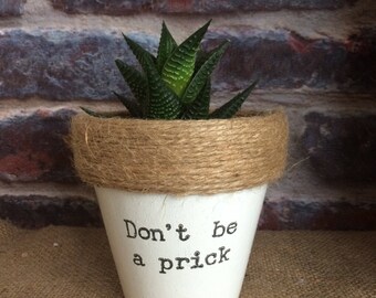 Plant pot gift 'Don't be a prick' indoor novelty comedy funny planter- for succulents/cactus/plants