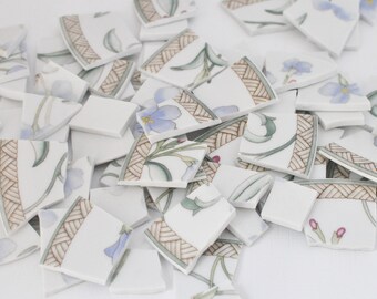 Broken China Mosaic Tiles - Light Blue Flowers - Recycled Plates - Set of 75