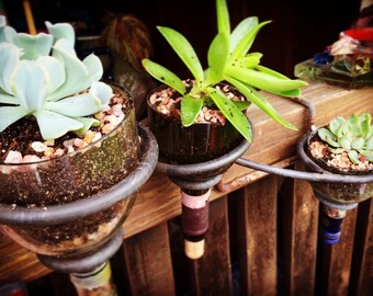 Hand forged iron & wine bottle hanging planter - perfect for succulents/herbs