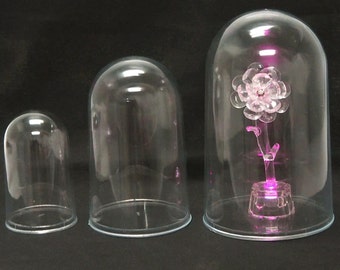 Plastic Dome Case Display Centerpiece with Clear Base