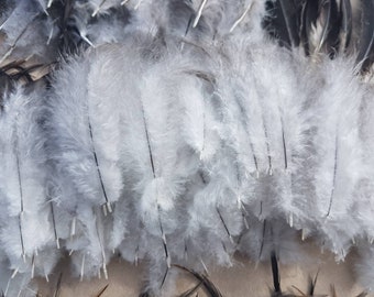 100 Fluffy Feathers, dream catcher feather, natural feather, gray feathers, gray feathers, decorative feathers for craft art feather