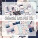 Celestial Love - No White Space Weekly Decorative Kit - February Holiday Valentine's Day Valentine Love - 6 sticker sheets, Perfect for ECLP
