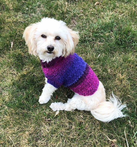 small dog sweater small dog coat dog sweater xs yorkie