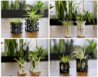 Unique "Breathing" Air Plant Holders Multiple Styles