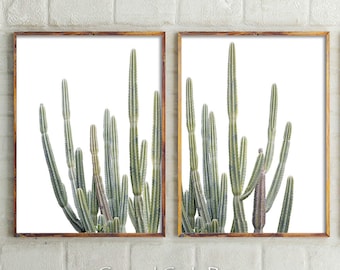 Set Of 2 Prints,Desert Cactus Prints,Wall Decor,Cactus,Botanical,Cactus Prints,Wall Art,Prints,Succulents,Art Prints,Australia,Printable Art