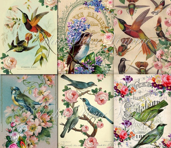 A4 Antique Bird Wallpaper Paper 6 PACK Instant Download Vintage Floral Victorian Shabby Chic Craft Wrapping Scrap Digital PalaisFleurVintage From A4 Antique Bird Wallpaper Paper 6 PACK Instant Download Vintage Floral Victorian Shabby Chic Craft Wrapping Scrap Digital PalaisFleurVintage From