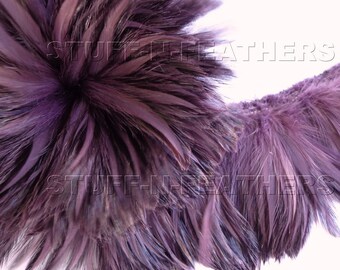 Wholesale / bulk feathers - Amethyst rooster furnace hackle feathers, real feathers strung for millinery, jewelry making, costumes / FB88-4
