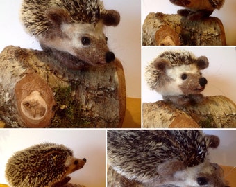 Kit to make a needle felted hedgehog using British wool with full colour, easy to follow instructions - DIY - GIFT