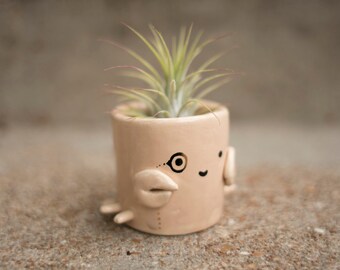 Crab Monomal (adorable crab office planter, engagement gift, wedding gift, housewarming gift, birthday, lobster)