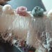 Lovely Rose Lace Trim Tulle Lace 3.93 Inches Wide 1 Yard Wedding Costume Supplies High Quality