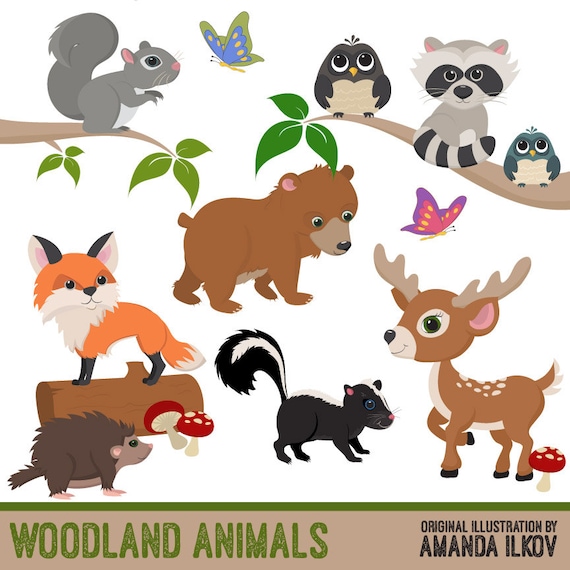 Premium Woodland Animal Clip Art Woodland Animal Vectors