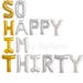 SO HAPPY Im Thirty Balloons Set of 15 Balloons Air Fill only / 30th Birthday So Happy Im Thirty Banner Silver & Gold Letters Shit Im Thirty