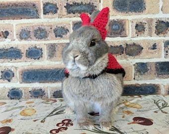 Devil costume for bunnies, pet rabbit costume, pet bunny costume, pet rabbit halloween, pet rabbit clothes, pet rabbit accessories