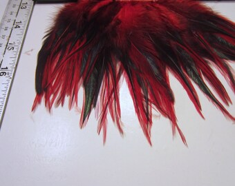Feathers Red badger saddle hackles rooster feathers QTY 50 3 5 inches craft feathers laced feathers