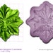 GREENMAN Medium Green Man PAGAN Craft Sugarcraft Fimo Sculpey Silicone Rubber Mould