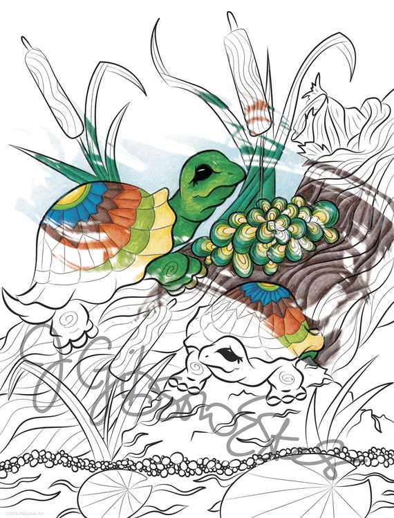 Download Turtles in a Pond Printable Coloring Page