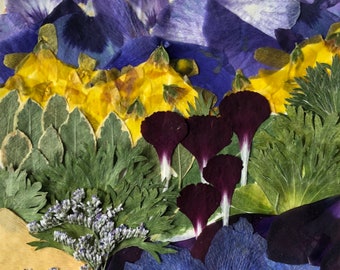 Flower 11.18 Giclee Print 11”x14”